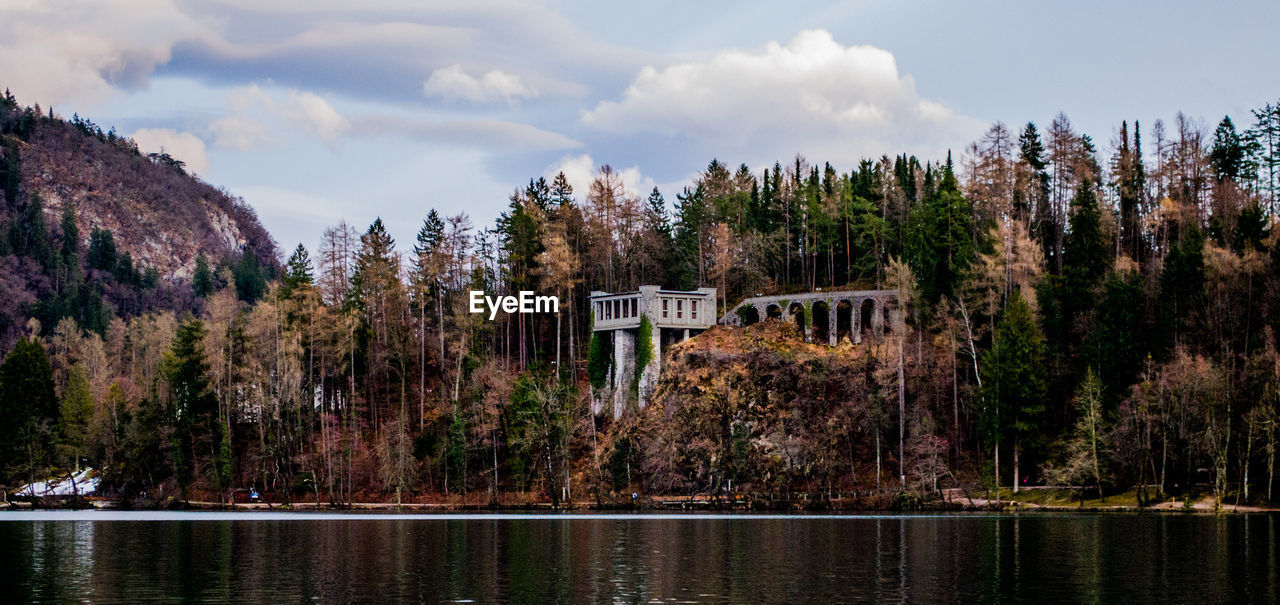 Scenic view of river by trees in forest against sky