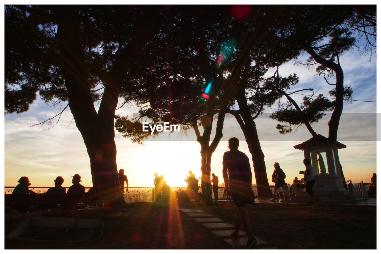 SILHOUETTE PEOPLE BY TREE AGAINST SKY AT SUNSET