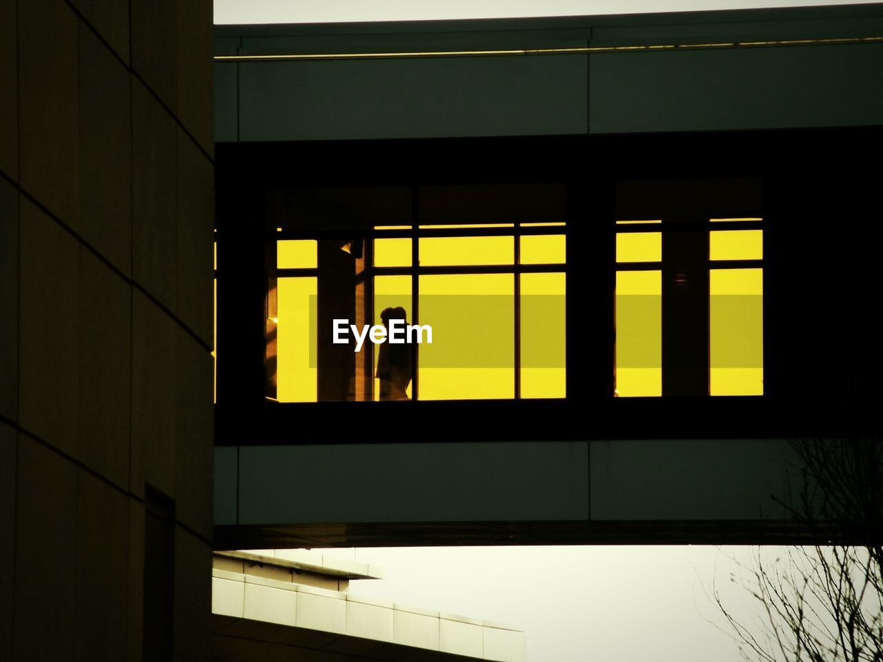 Low angle view of person standing at window