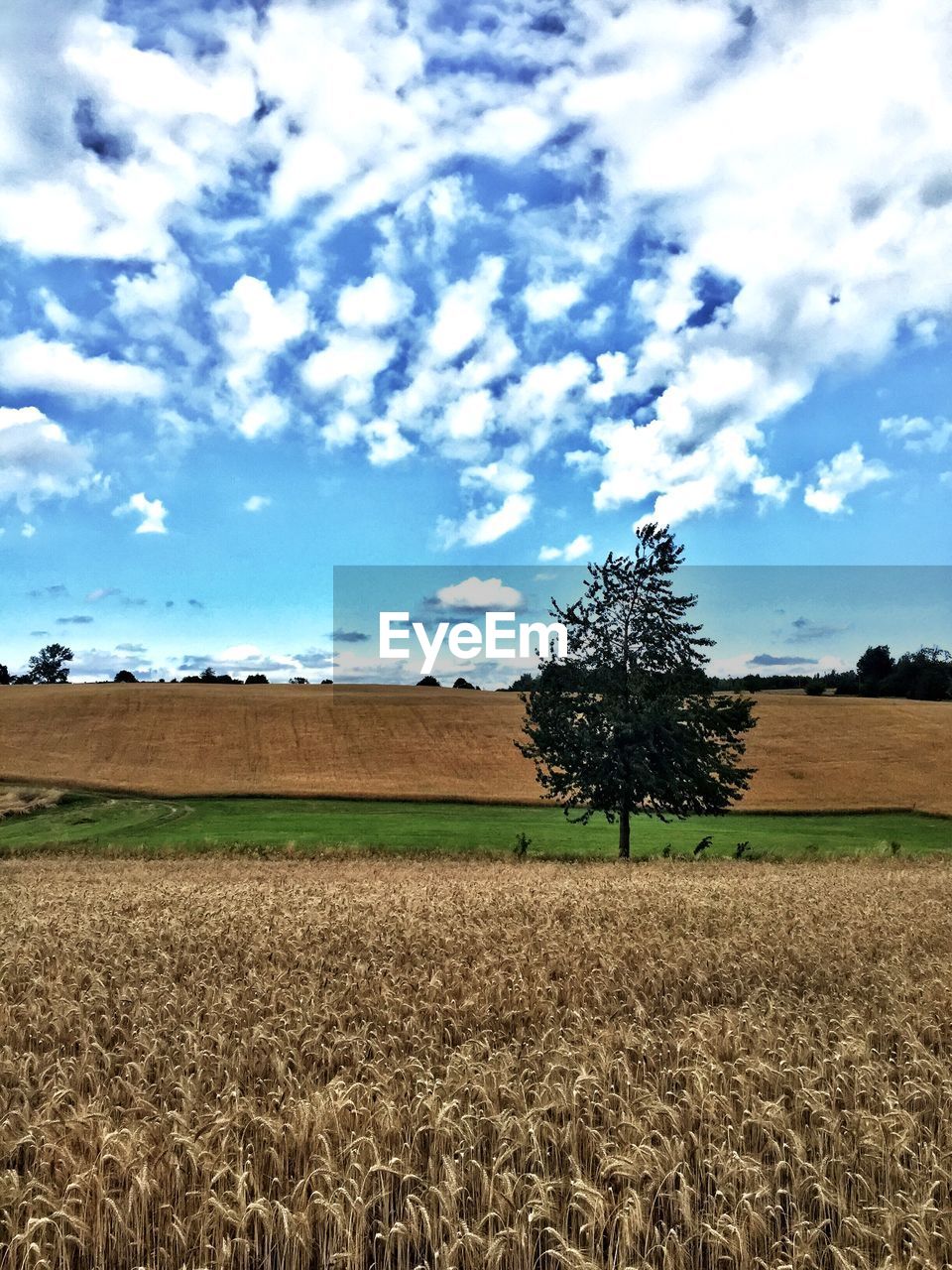 Scenic view of field against cloudy sky