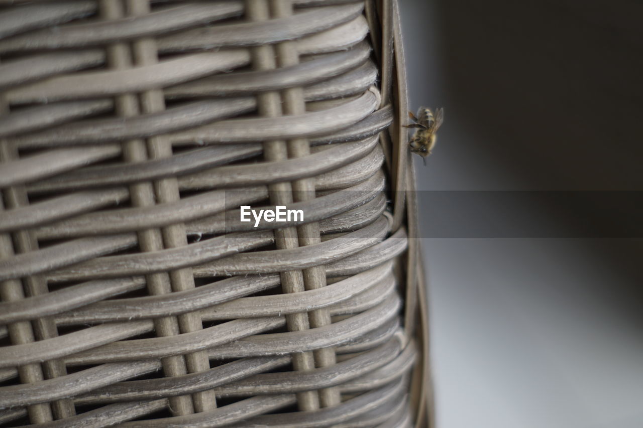 Close-up of wicker basket with a bee on the side