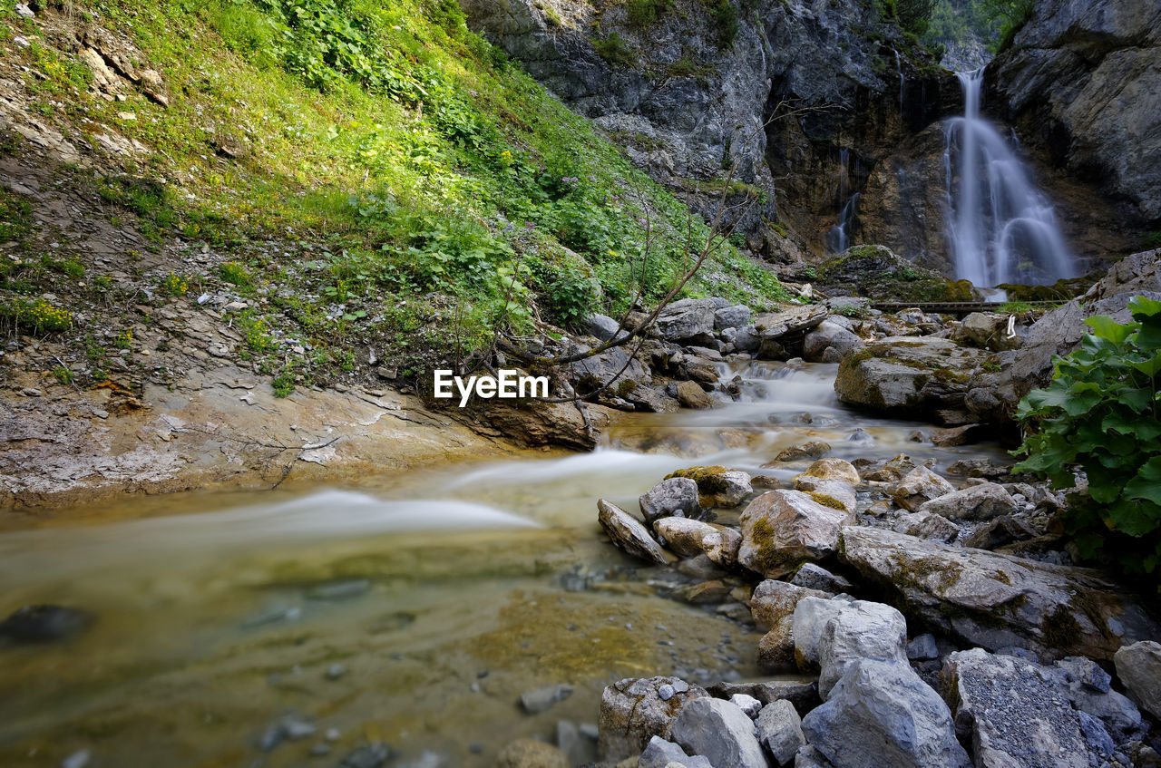 Scenic view of waterfall in forest