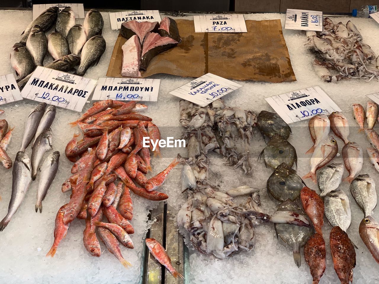 View of fish for sale at market stall