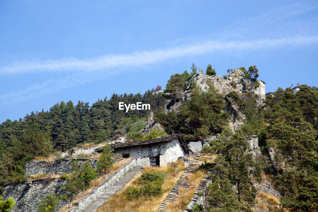 Trees on mountain against sky