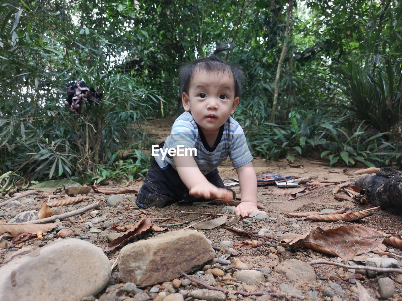 Portrait of cute boy crawling on field