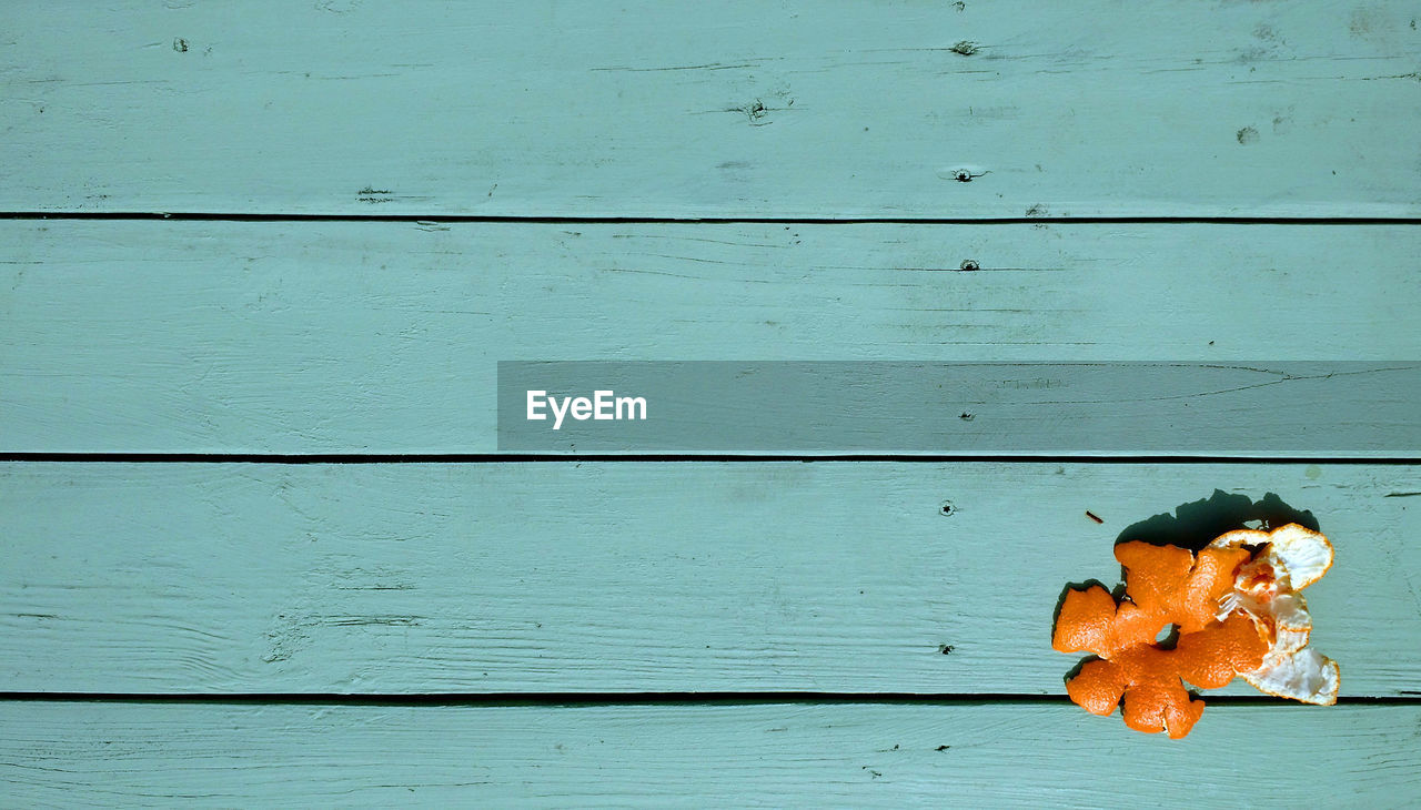 Orange peel on cyan blue picnic table with space for text or logo