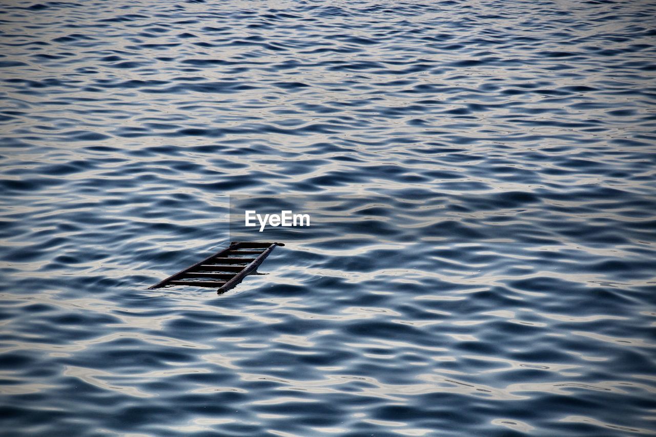 High angle view of bird flying over lake