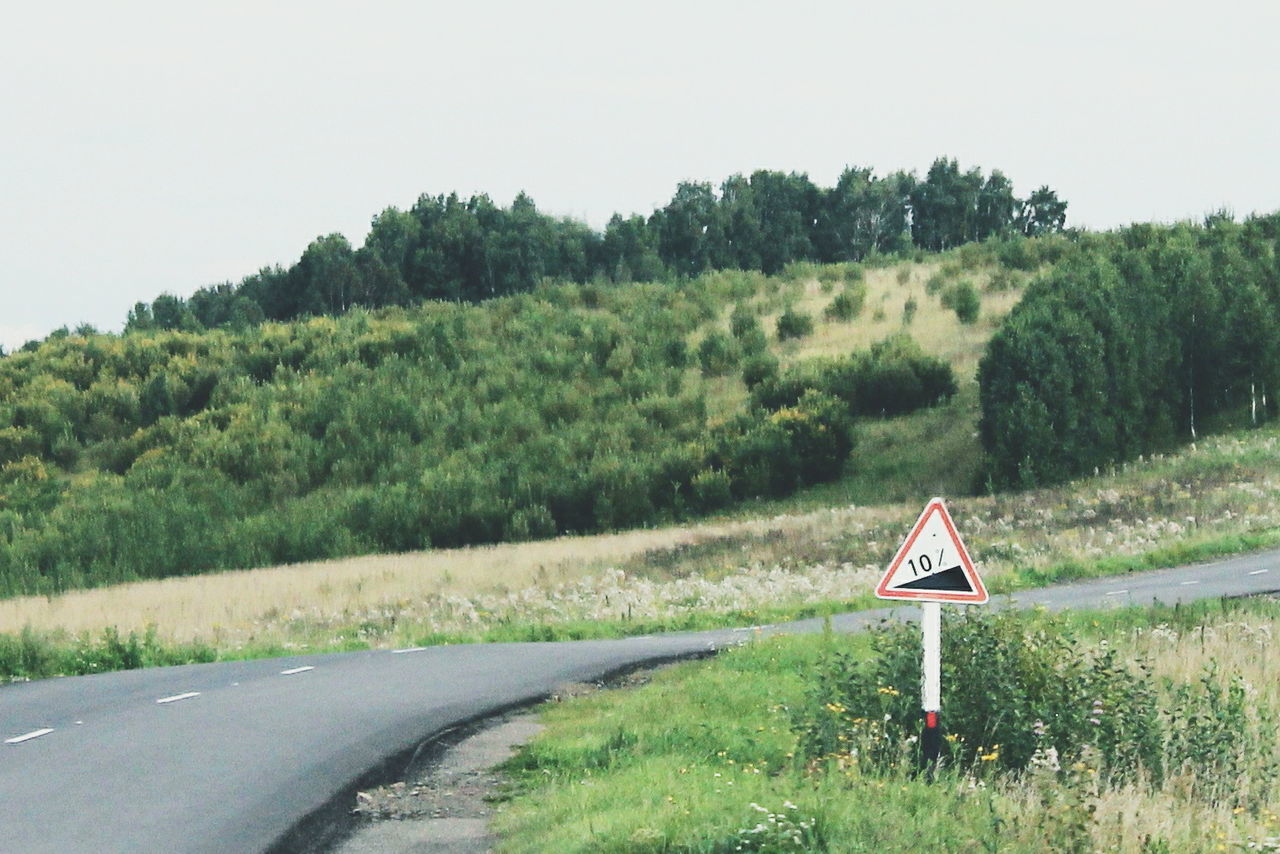 VIEW OF COUNTRY ROAD ALONG TREES