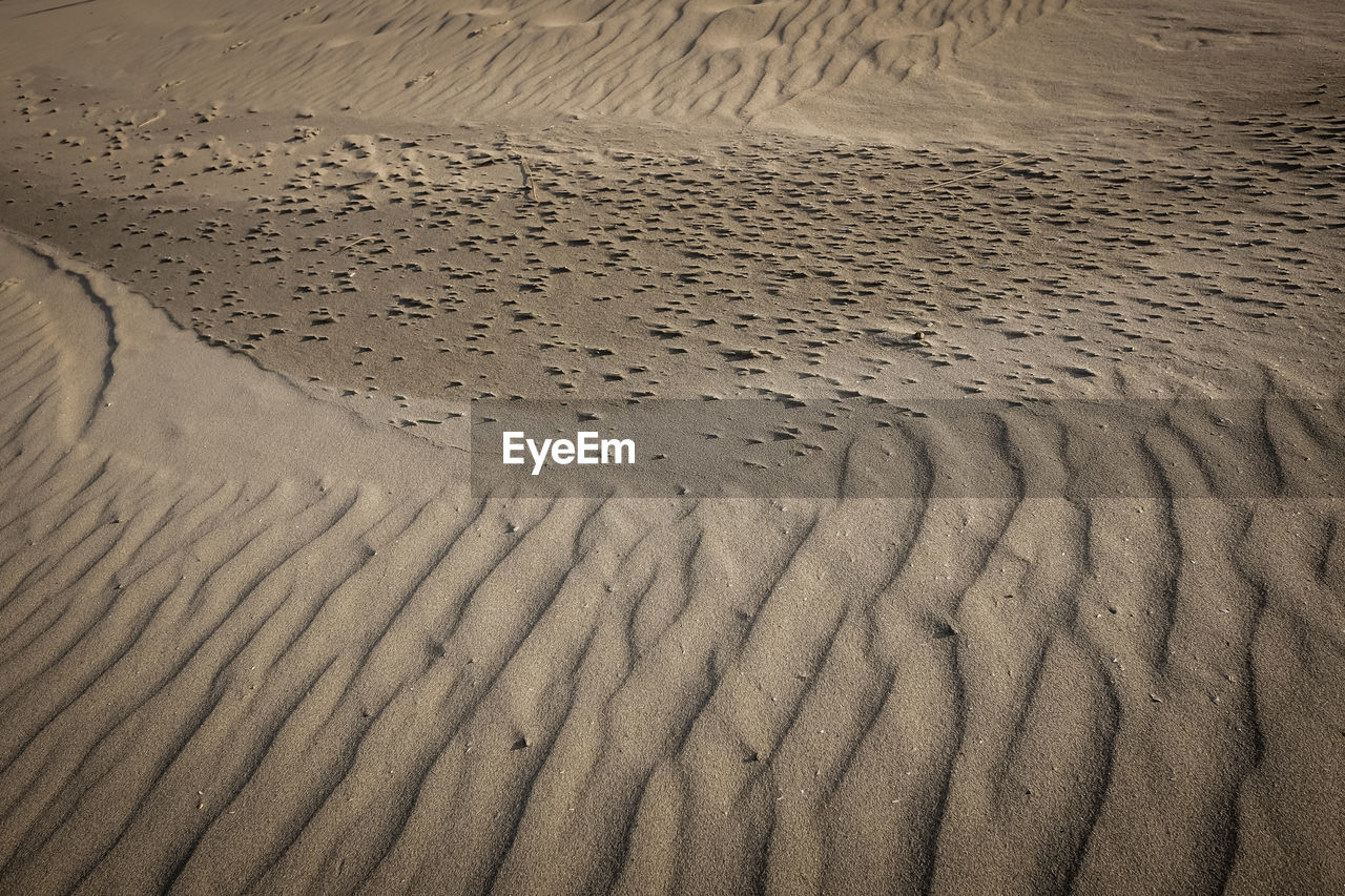 Full frame shot of sand dune