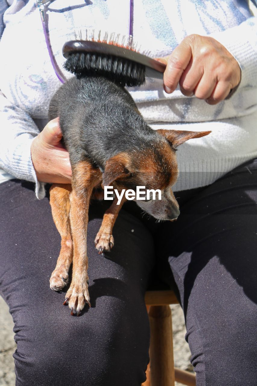 Midsection of woman holding dog