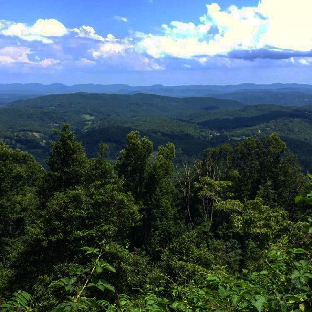 SCENIC VIEW OF GREEN LANDSCAPE AGAINST SKY