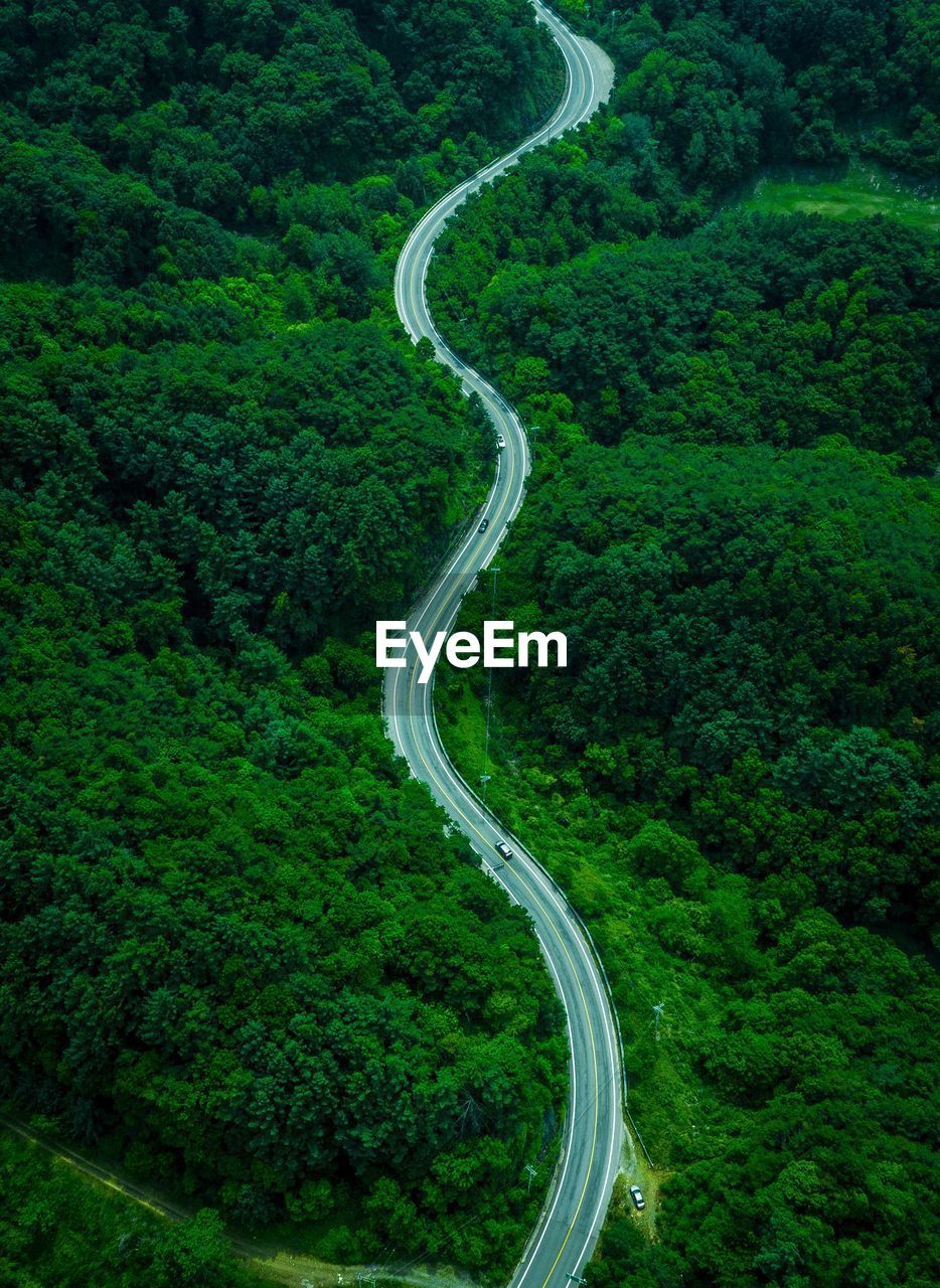 Aerial view of road amidst trees in forest