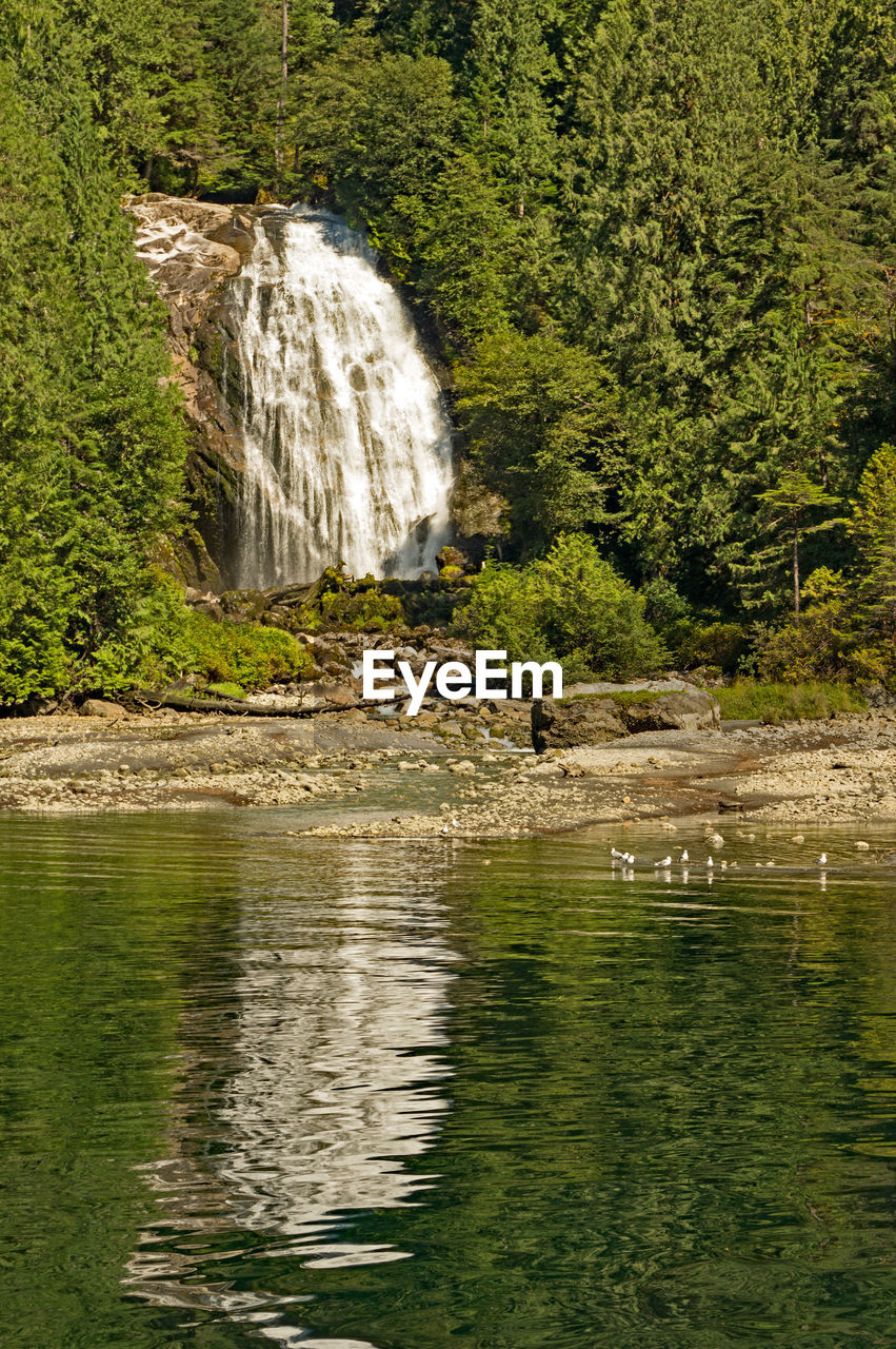 WATERFALL IN FOREST