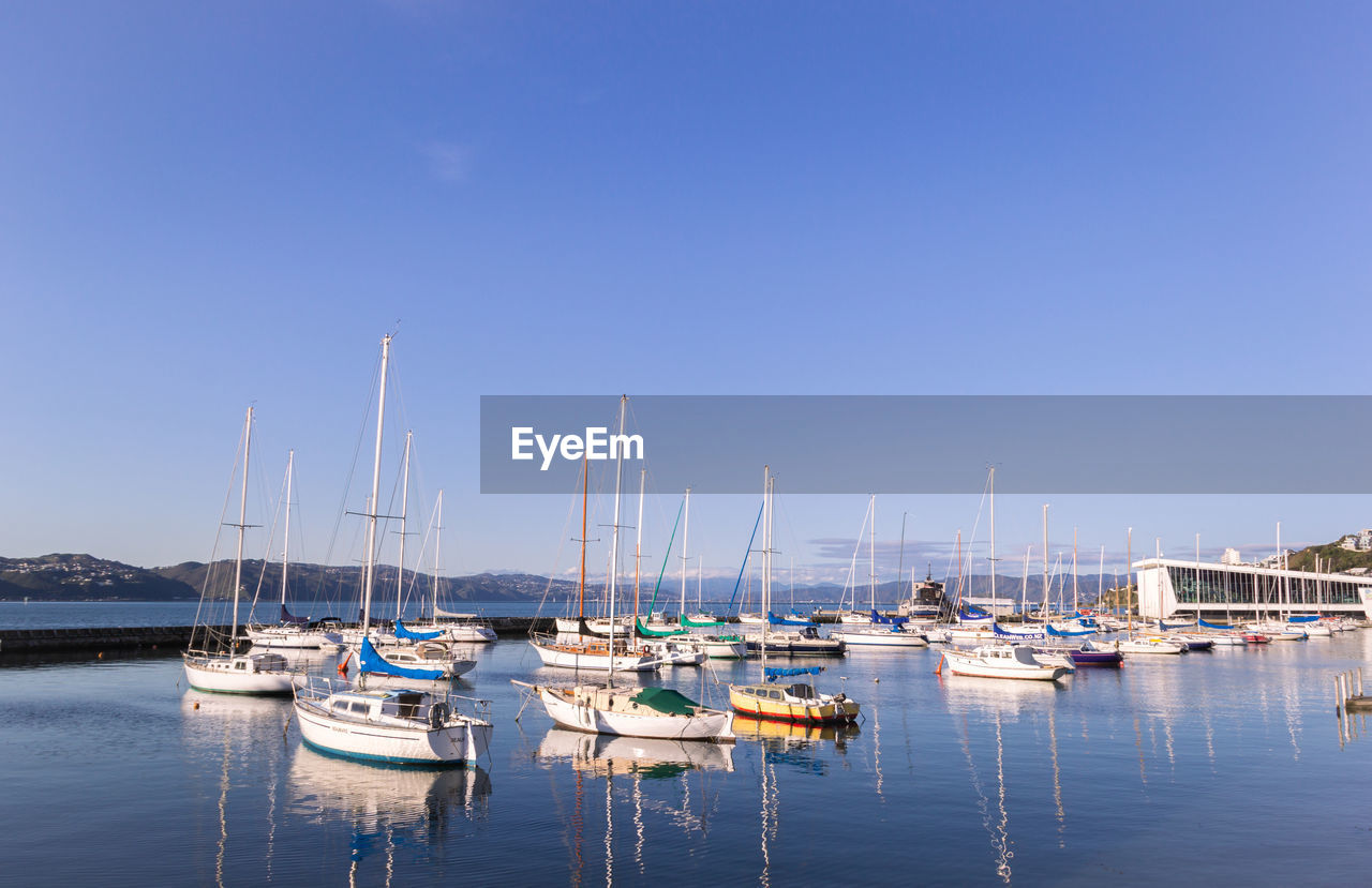 SAILBOATS IN MARINA