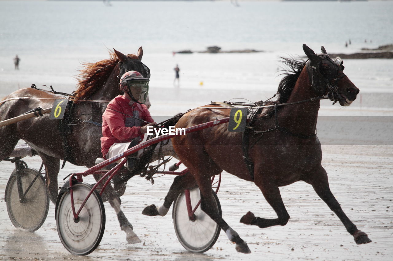 Horse racing on a beach 