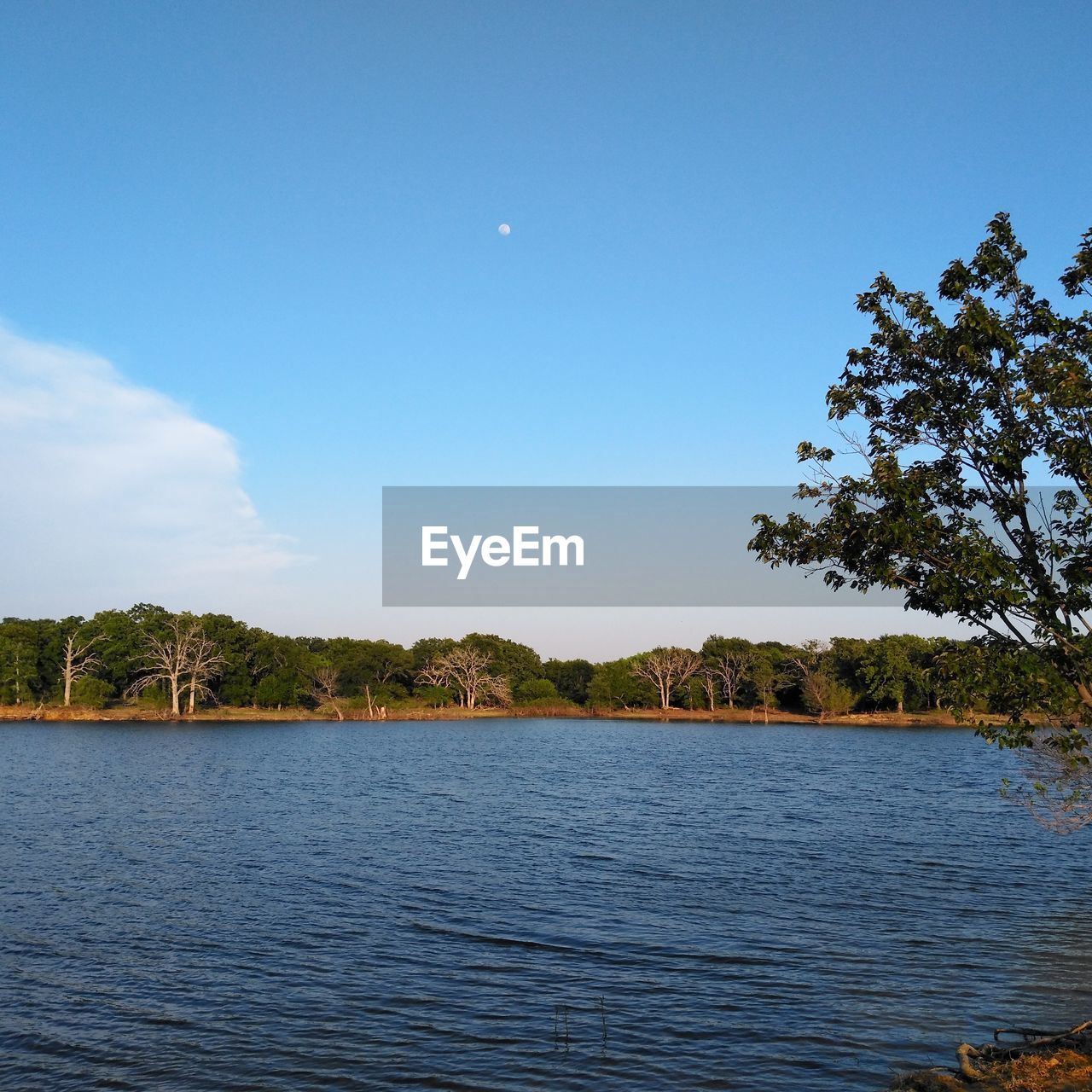 SCENIC VIEW OF LAKE AGAINST CLEAR BLUE SKY