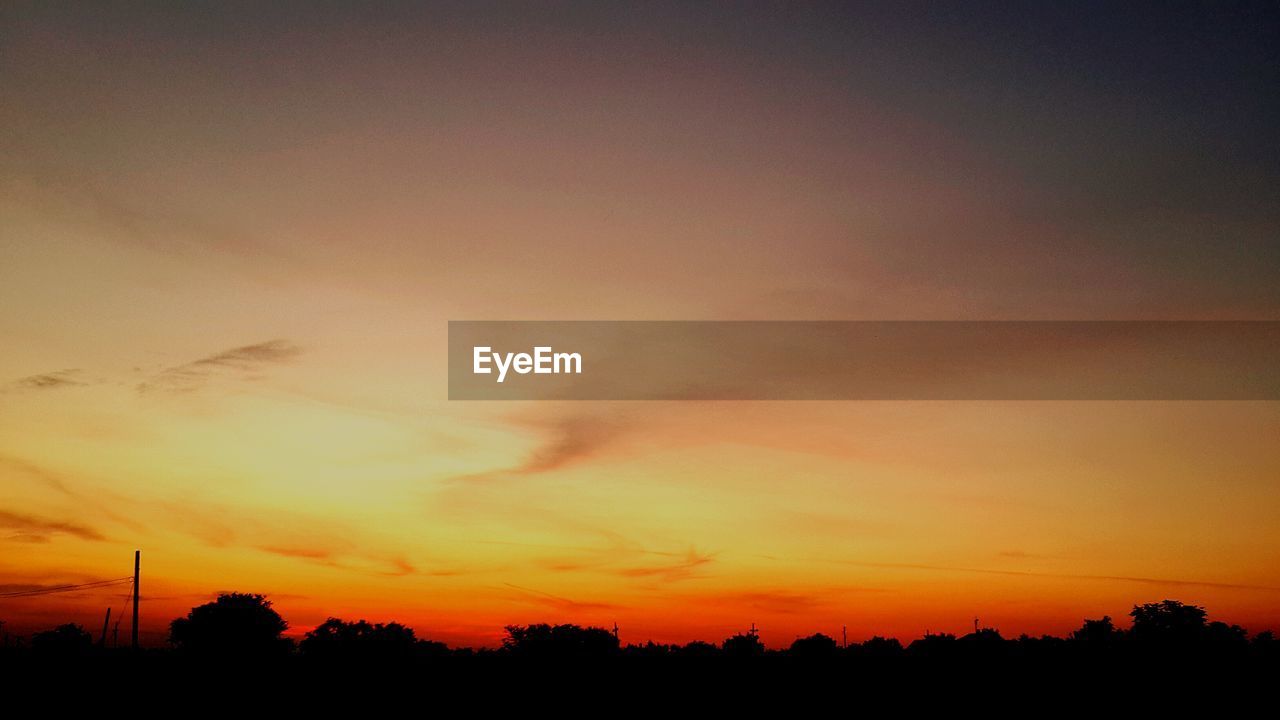 LOW ANGLE VIEW OF SILHOUETTE TREES AGAINST DRAMATIC SKY DURING SUNSET