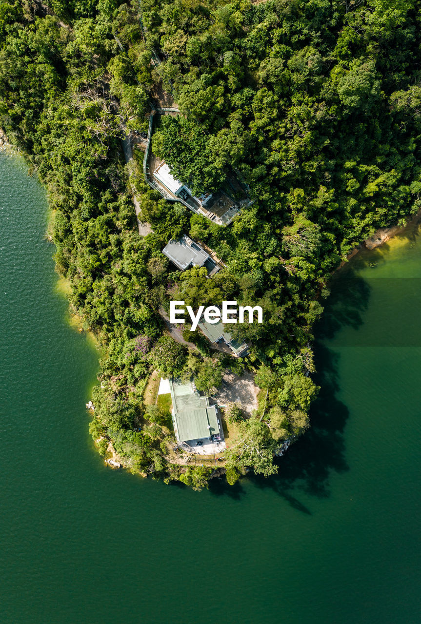 High angle view of tree by building