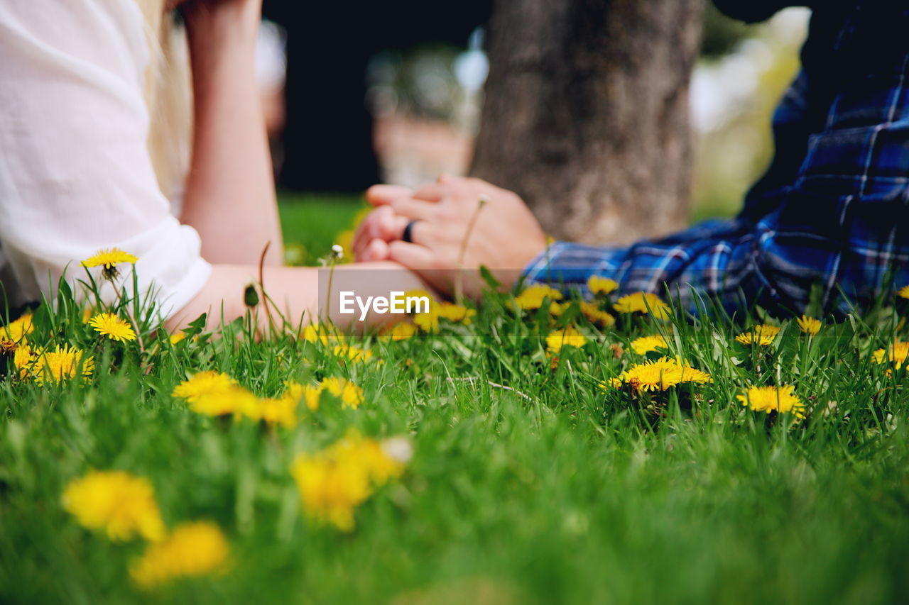 Midsection of man and woman holding hands on flowering field