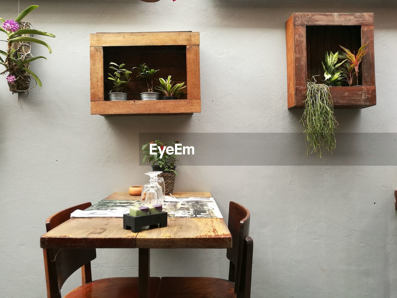 POTTED PLANT ON TABLE IN CAFE