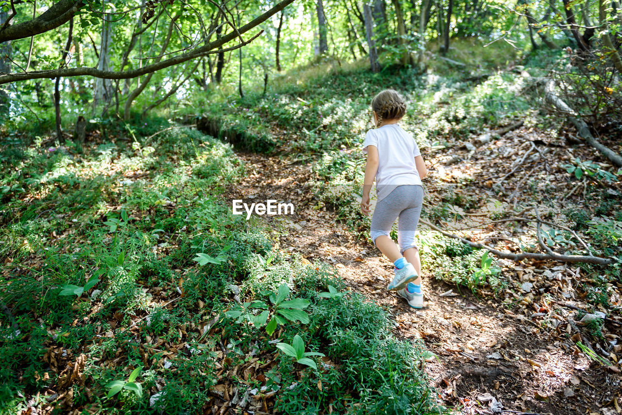 Rear view of girl hiking in forest