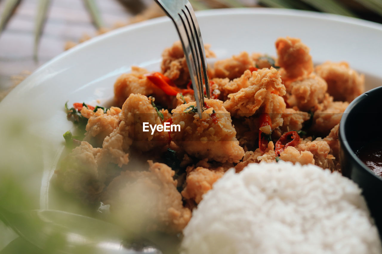 close-up of food served in plate