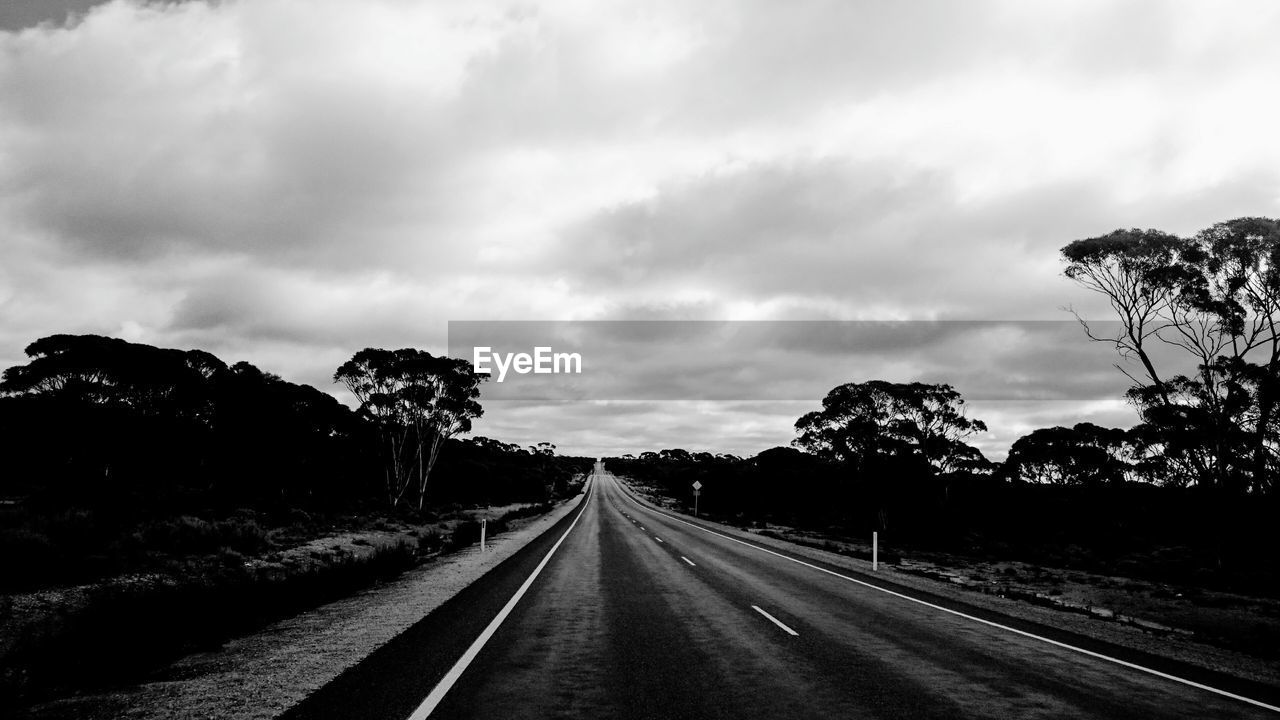 ROAD AMIDST PLANTS AND TREES AGAINST SKY