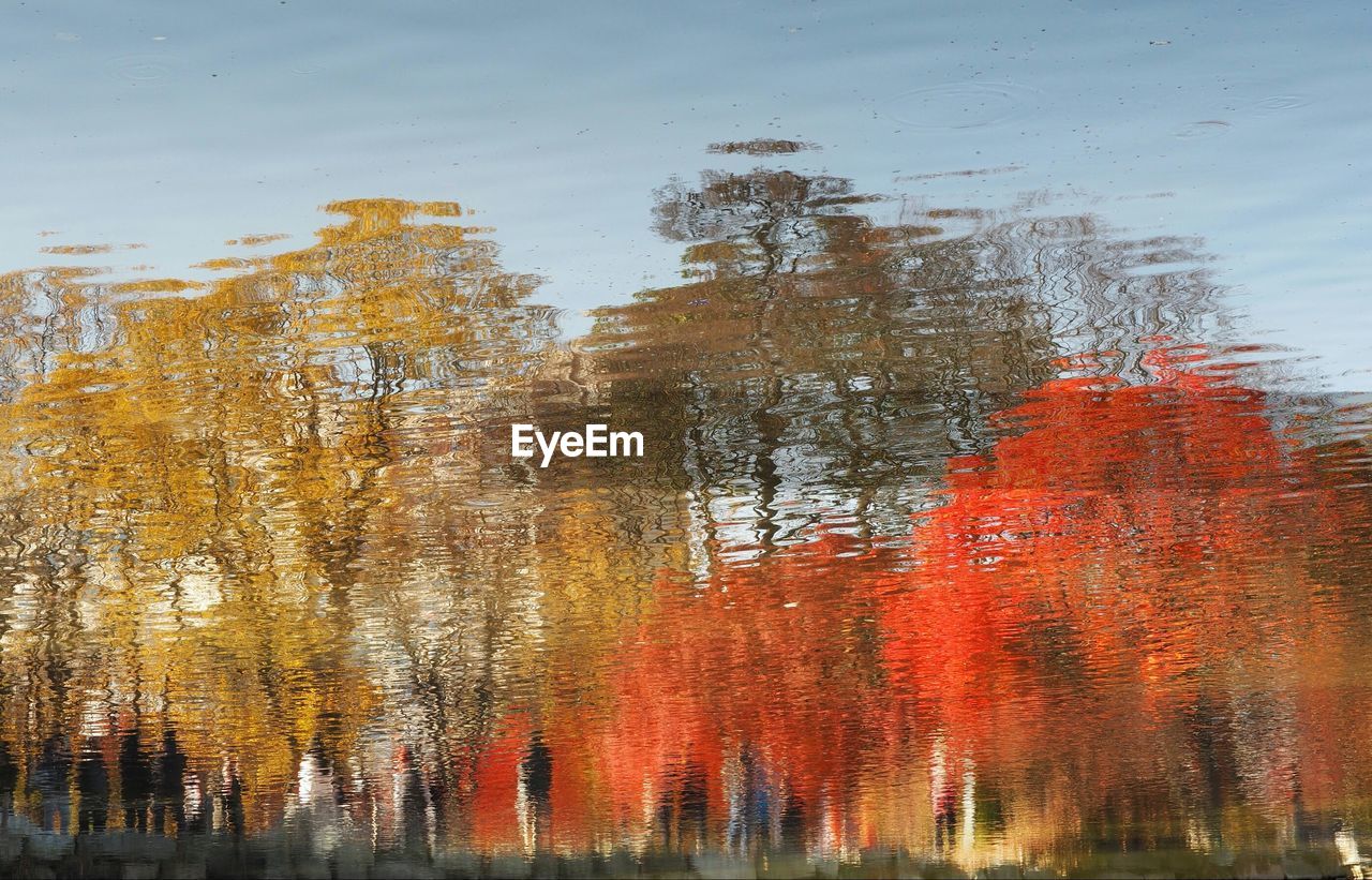 Trees by river against sky during autumn