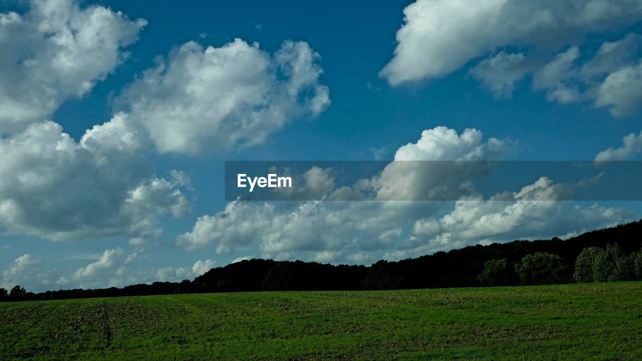 SCENIC VIEW OF FIELD AGAINST BLUE SKY