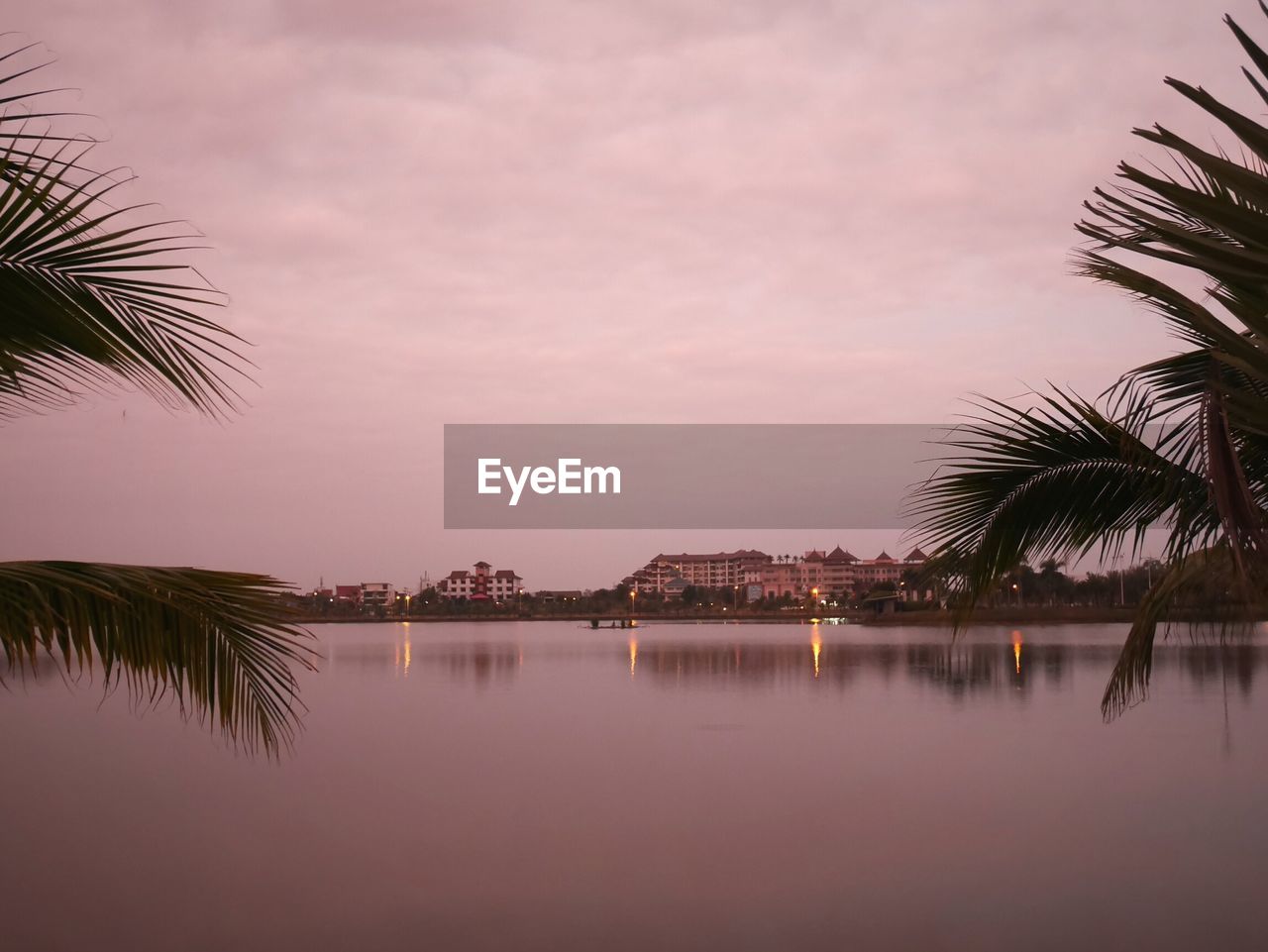 REFLECTION OF PALM TREES ON WATER