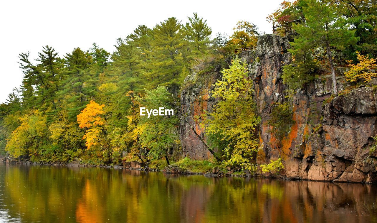 Scenic view of lake by trees in forest against sky