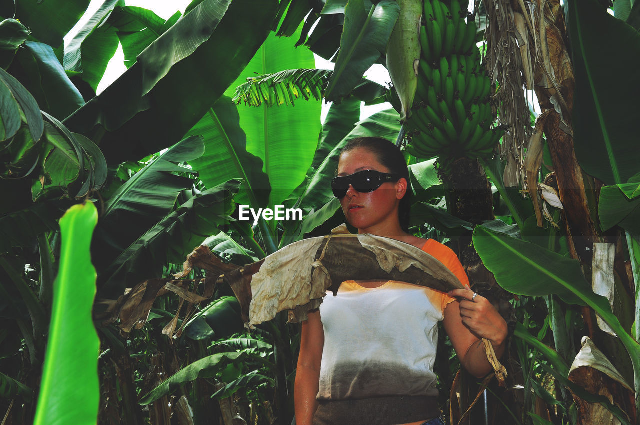 Young woman standing by banana trees