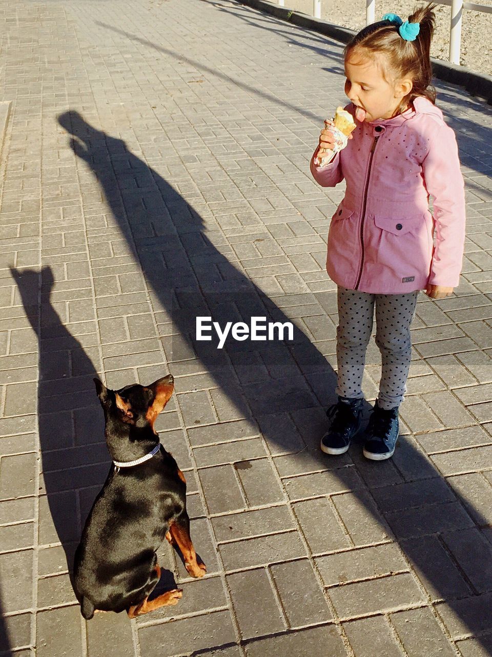 Full length of girl eating ice cream by dog on street during sunny day