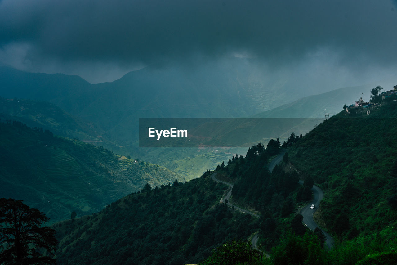 HIGH ANGLE VIEW OF TREES IN FOREST AGAINST SKY