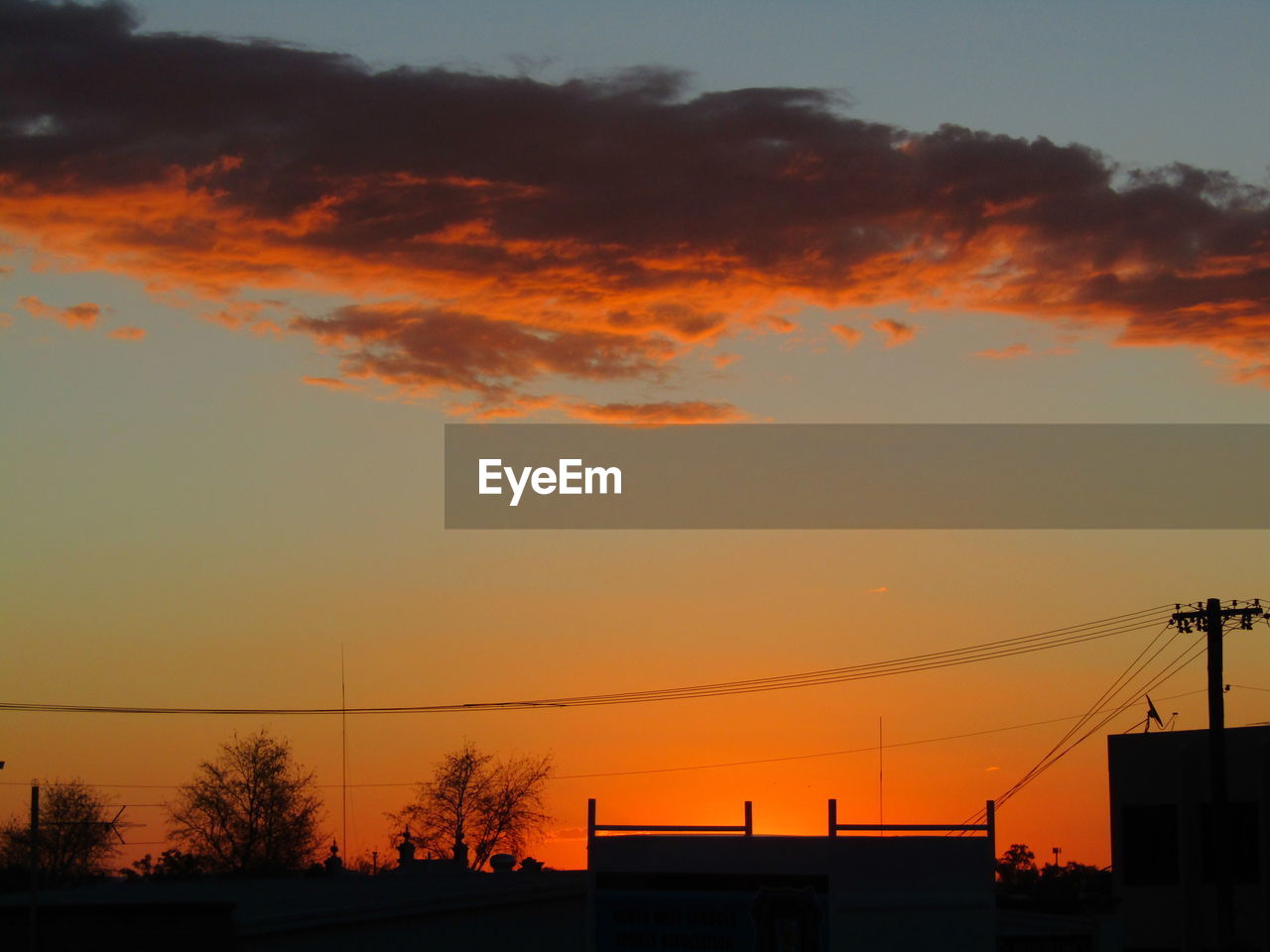 Low angle view of silhouette trees against orange sky