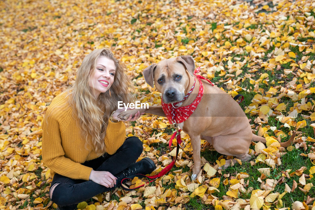 DOG SITTING IN AUTUMN LEAVES