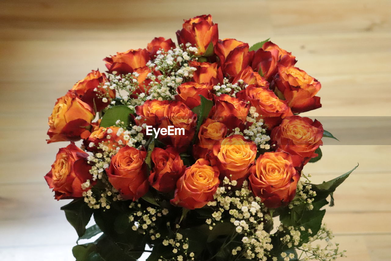 CLOSE-UP OF ROSES AGAINST ORANGE ROSE