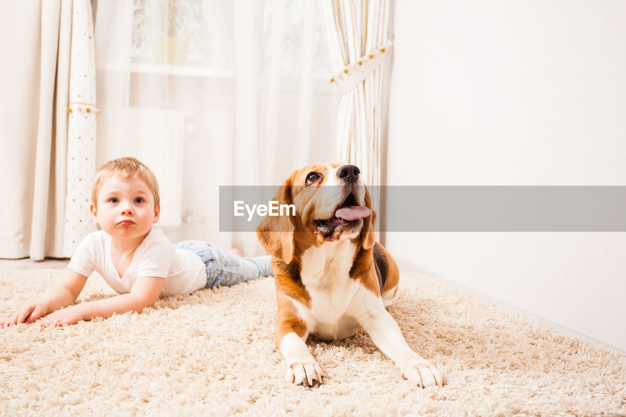 Portrait of cute dog sitting outdoors