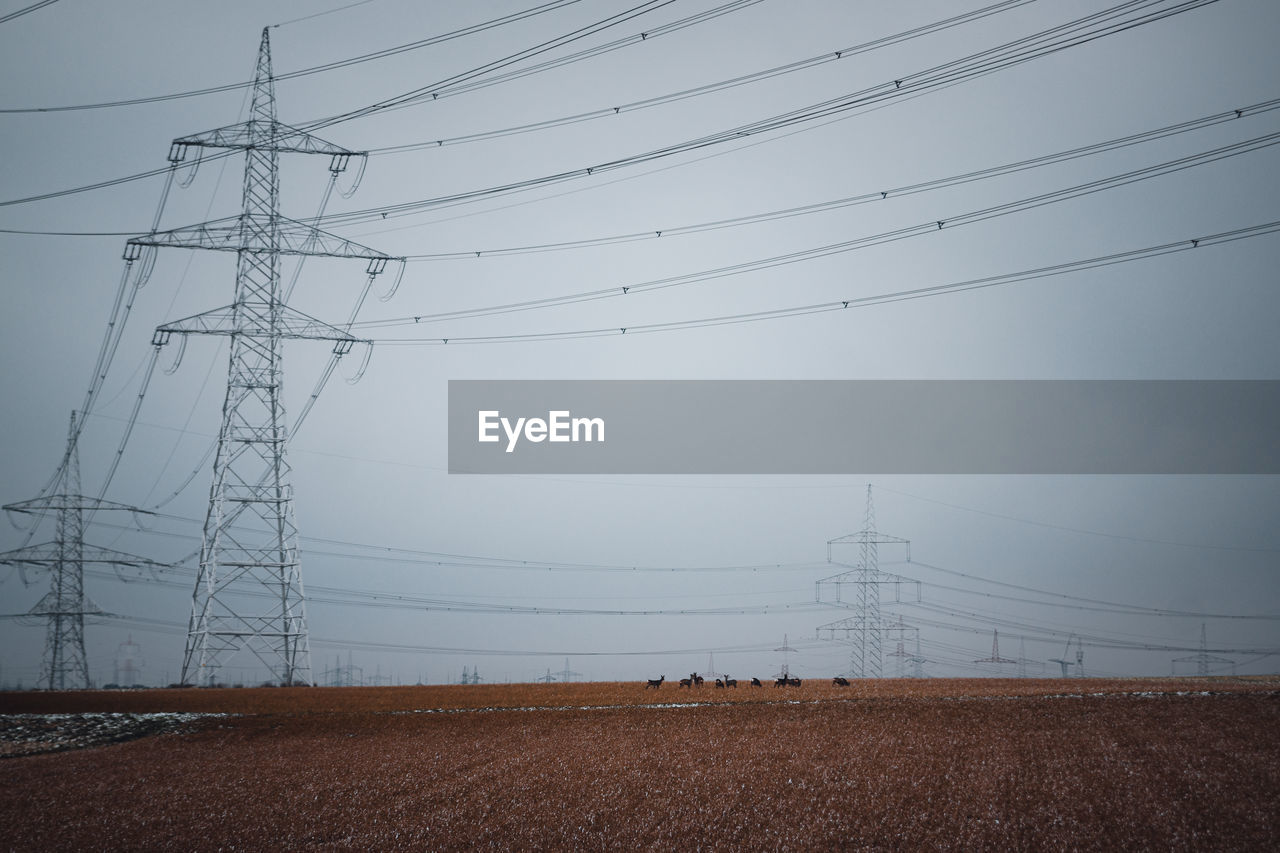Low angle view of electricity pylon on field with wild deer against sky