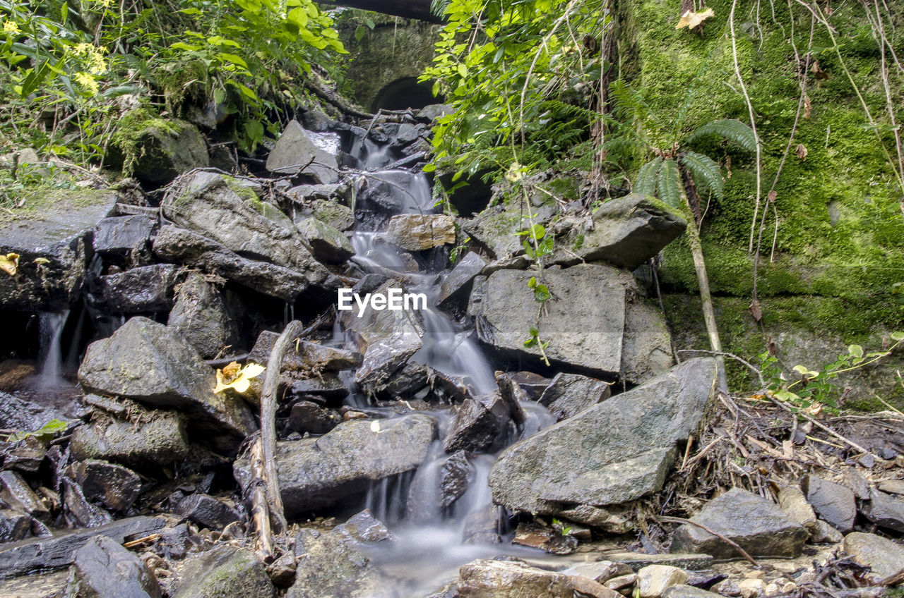 WATERFALL IN FOREST