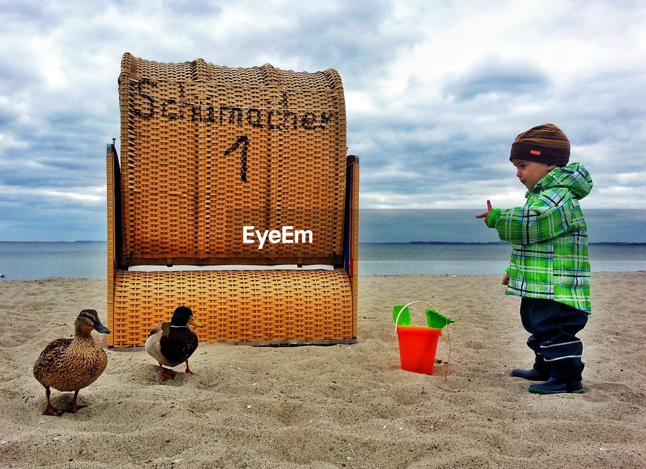 Full length side view of boy pointing at ducks on beach