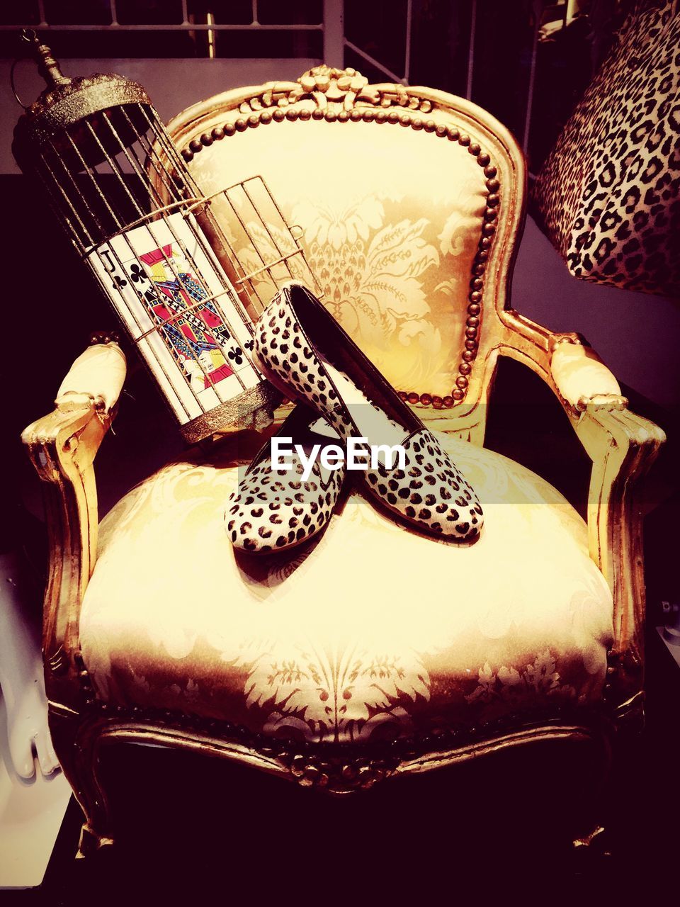 Leopard print shoes and card in cage on chair