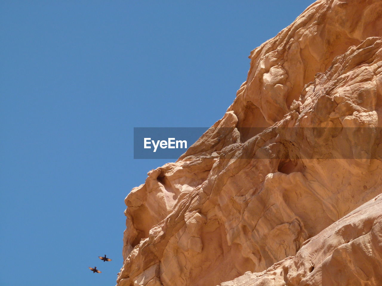 Birds flying near  rock formation against clear blue sky in wadi rum 