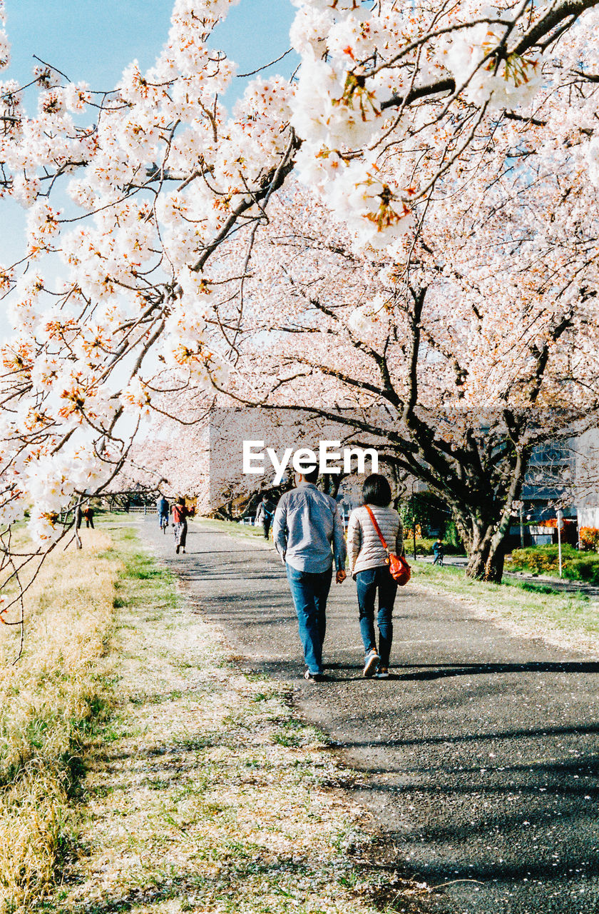 REAR VIEW OF PEOPLE WALKING IN PARK