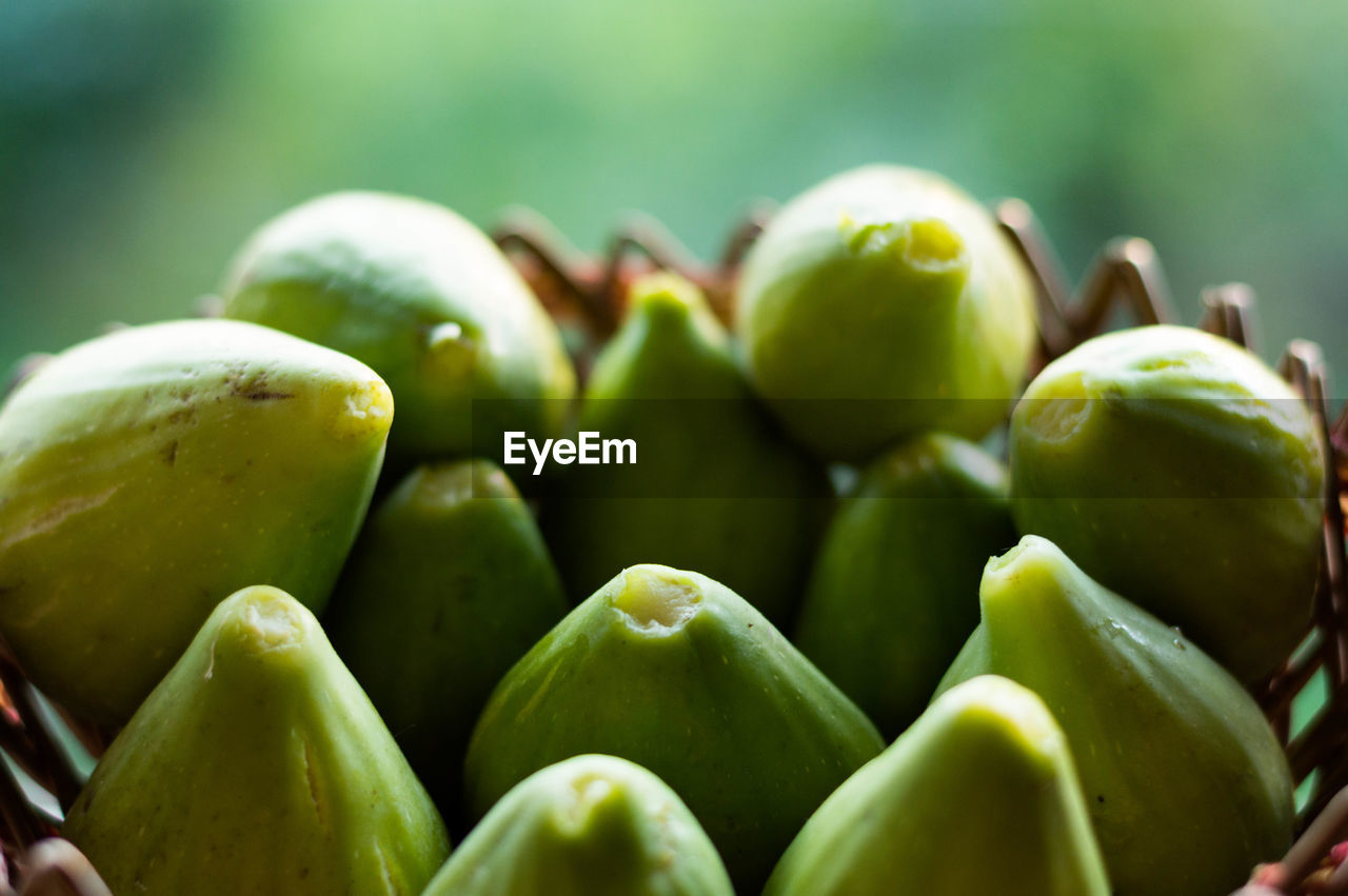 Homegrown figgs in the basket close up photography