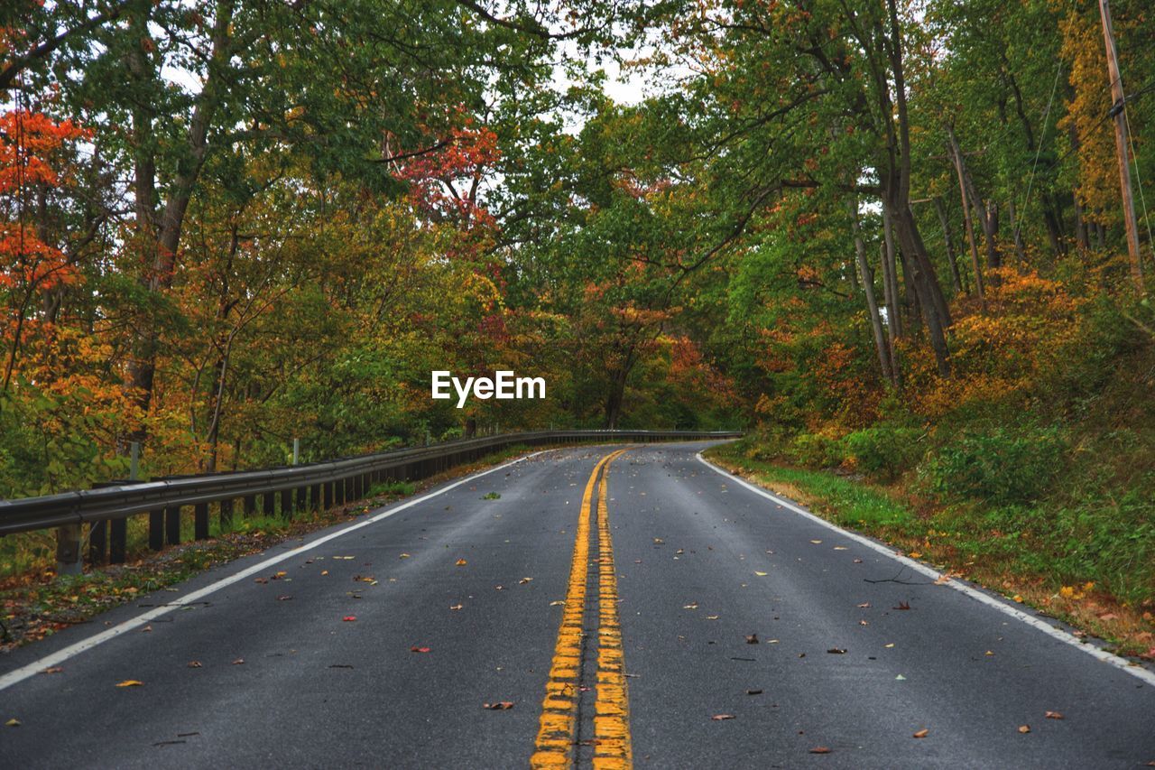 Empty road amidst trees during autumn