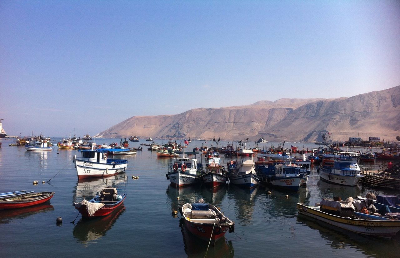 Boats moored in sea against clear sky