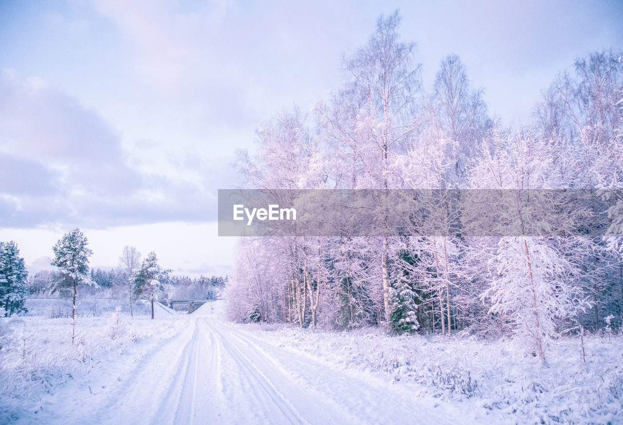 A beautiful, calm winter landscape in the rural area of latvia, northern europe. 