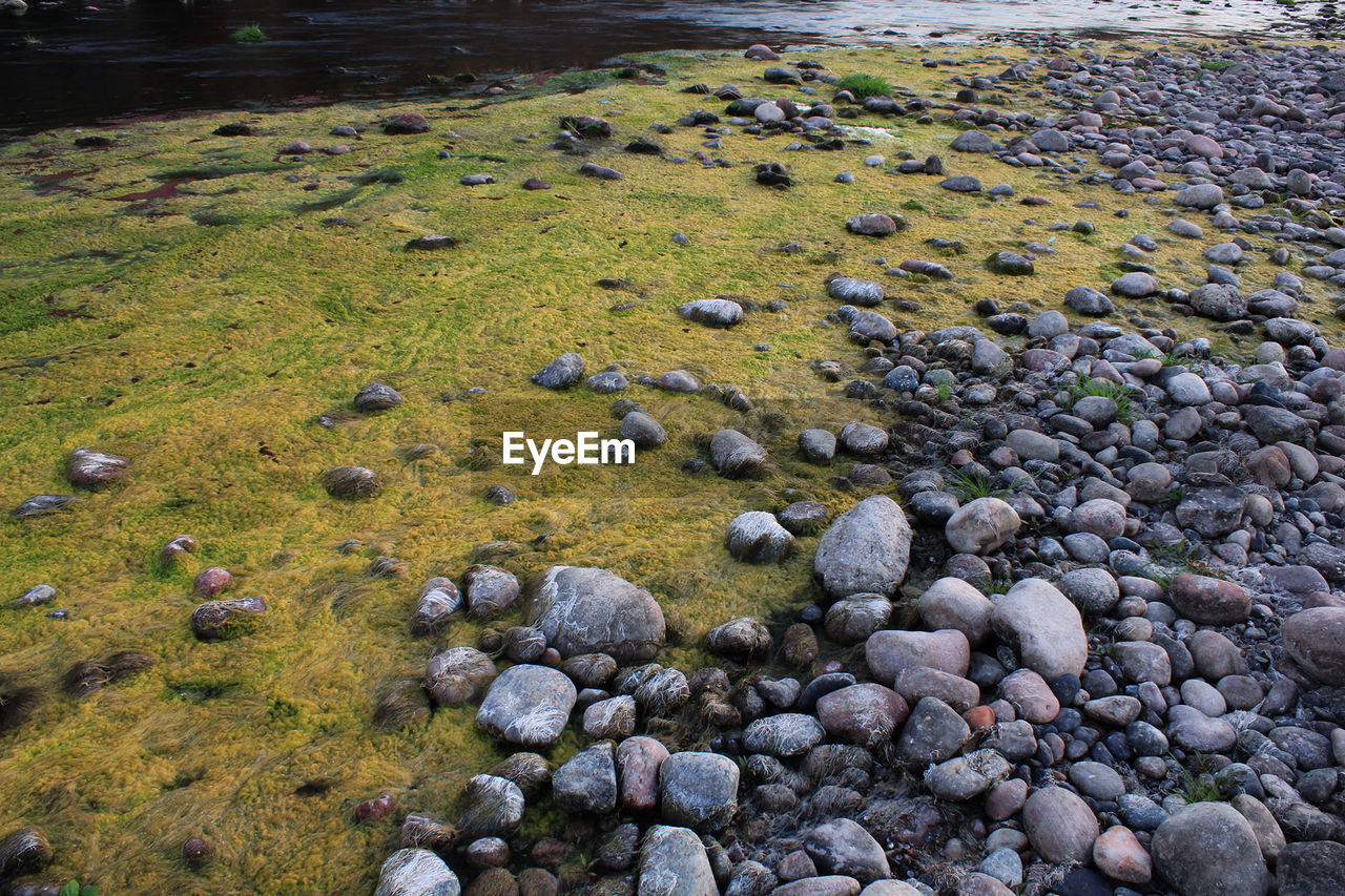 AERIAL VIEW OF PEBBLES