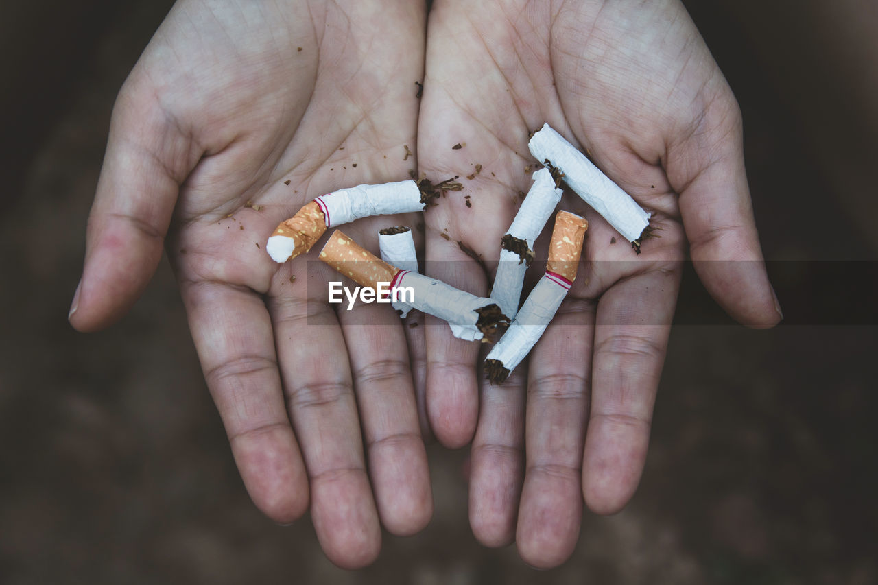 Cropped hands of person holding broken cigarettes